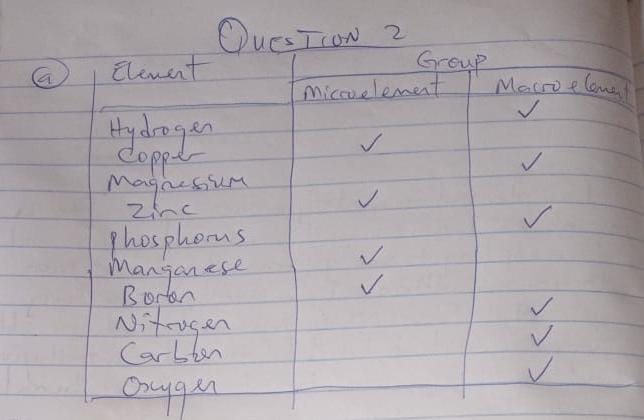 2022 waec biology essay answers