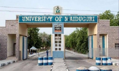 University-of-Maiduguri University-of-Maiduguri