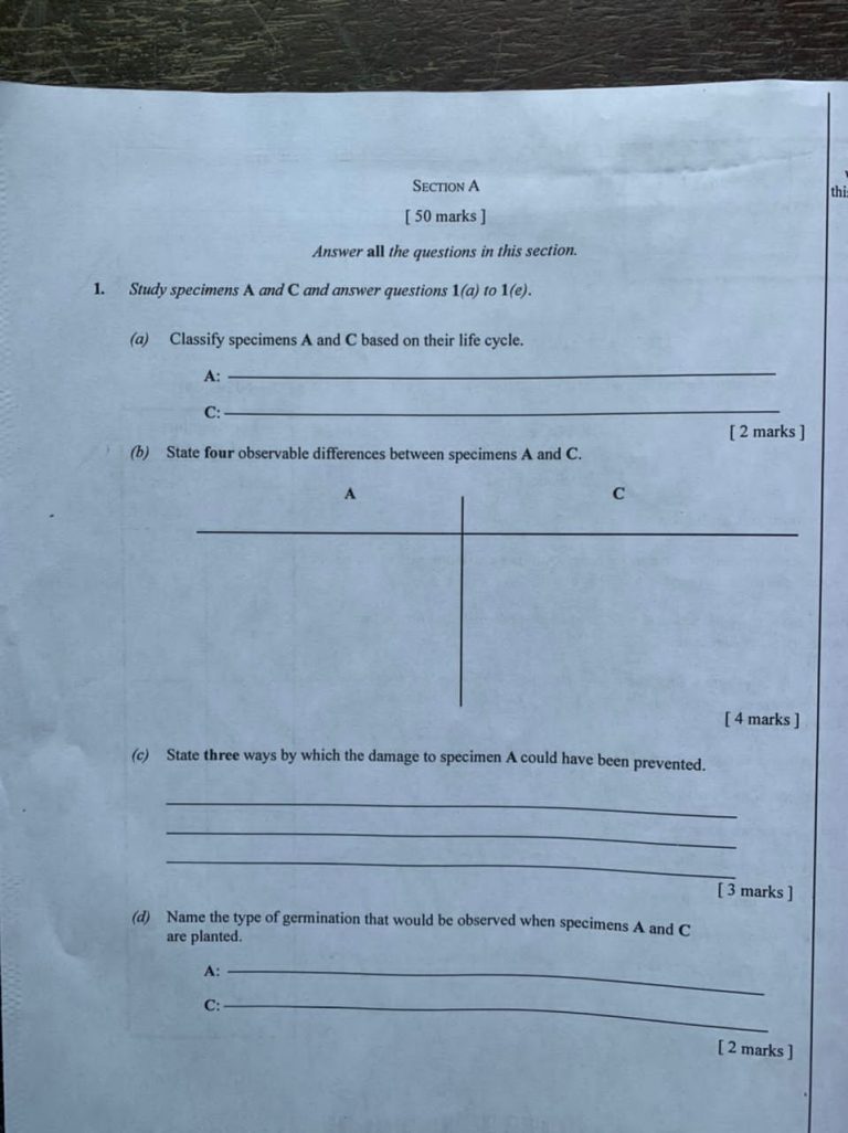 waec essay questions and answers 2022