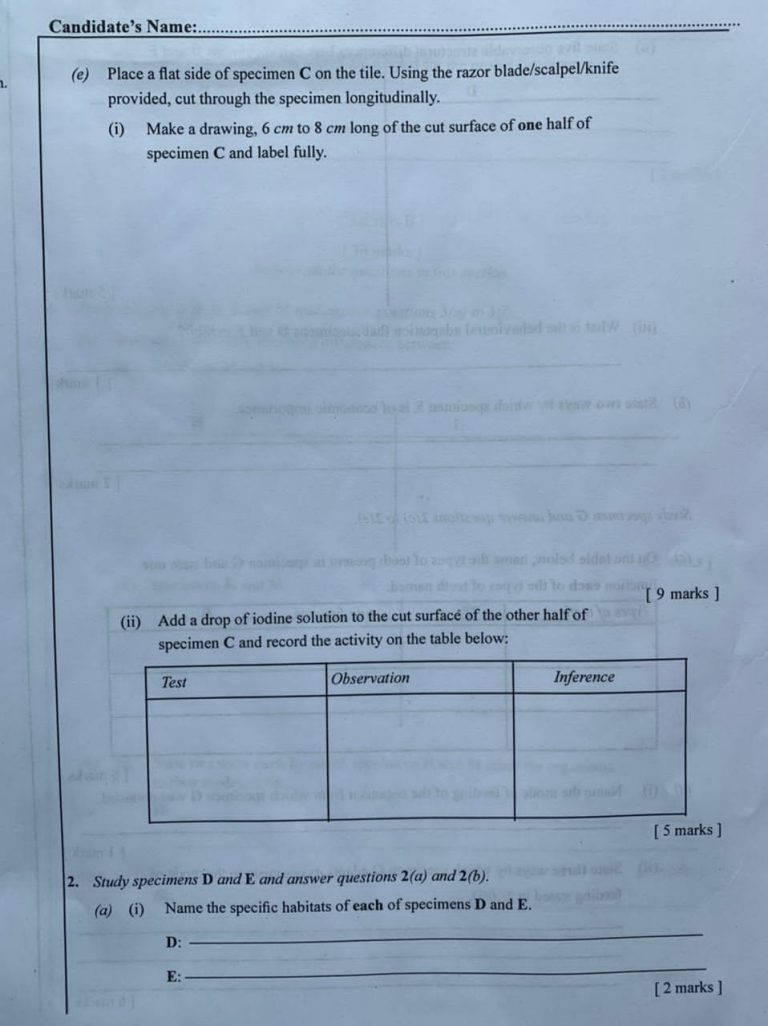 biology waec essay questions 2022