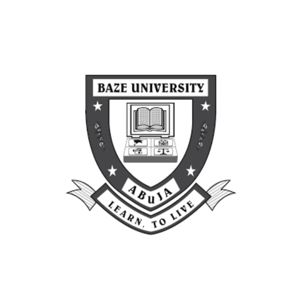 BAZE UNIVERSITY SOFTWARE ENGINEERING COURSES visual data 8