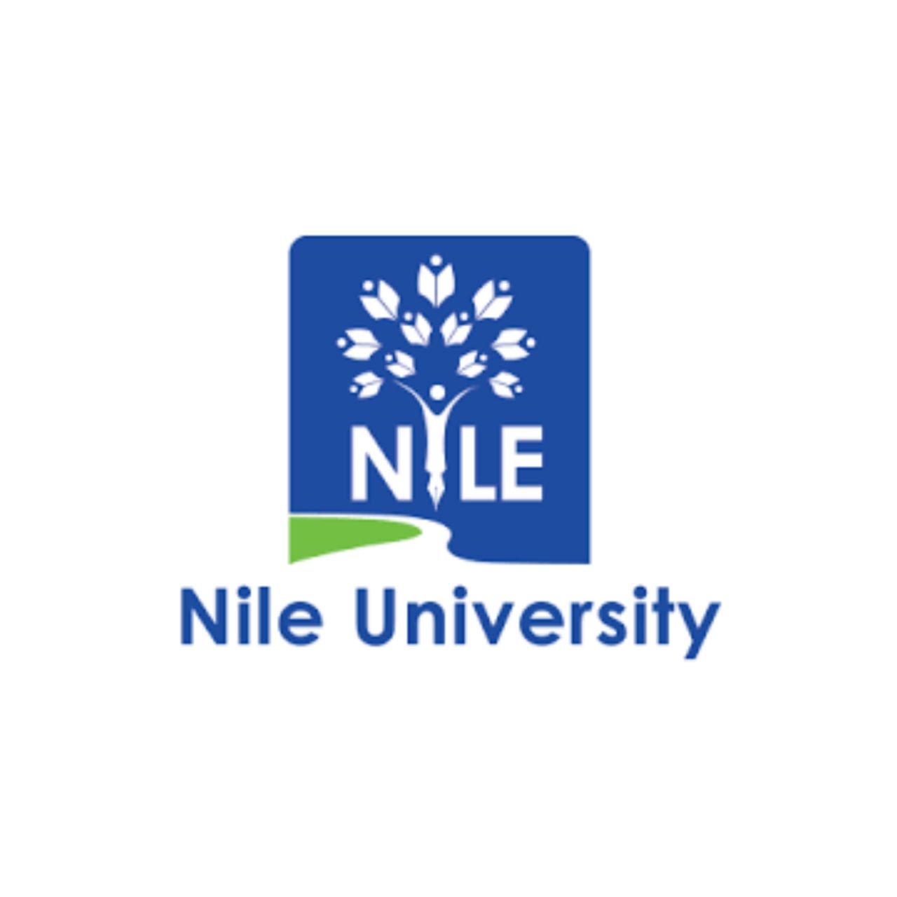 NILE UNIVERSITY POST GRADUATE SCHOOL visual data 6